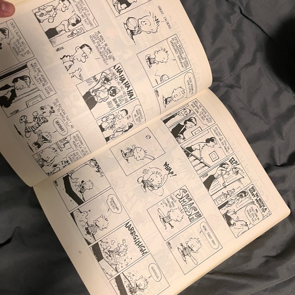 The Essential Calvin and Hobbes: A Calvin and Hobbes Treasury - Picture 5 of 5